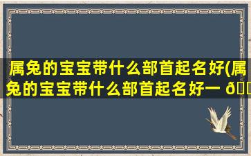 属兔的宝宝带什么部首起名好(属兔的宝宝带什么部首起名好一 🕷 点)